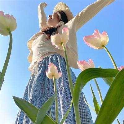 丽莎电影海报