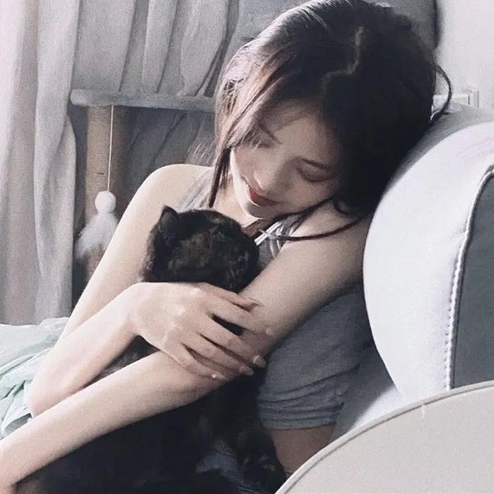 彩色响尾蛇电影海报